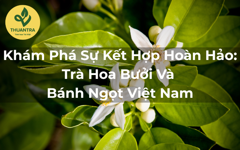 Khám Phá Sự Kết Hợp Hoàn Hảo: Trà Hoa Bưởi Và Bánh Ngọt Việt Nam