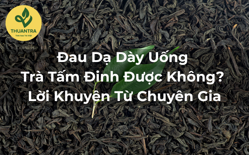 Đau Dạ Dày Uống Trà Tấm Đinh Được Không? Lời Khuyên Từ Chuyên Gia