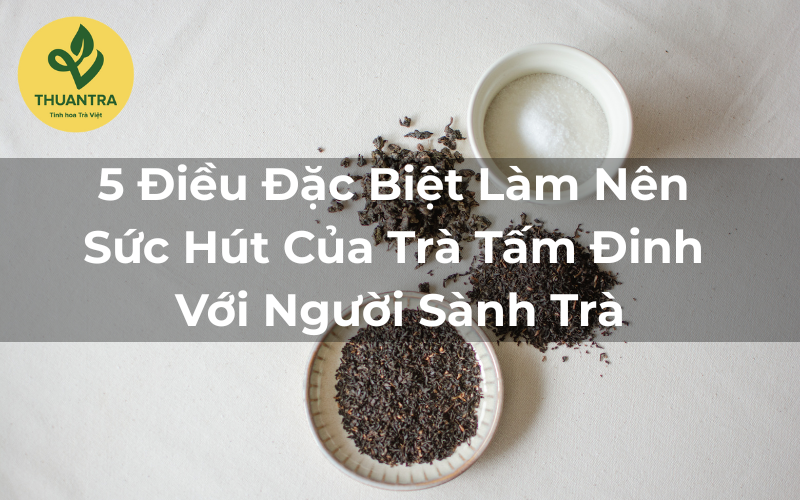 5 Điều Đặc Biệt Làm Nên Sức Hút Của Trà Tấm Đinh Với Người Sành Trà
