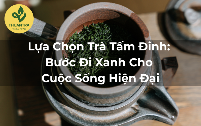 Lựa Chọn Trà Tấm Đinh: Bước Đi Xanh Cho Cuộc Sống Hiện Đại