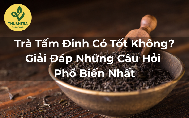 Trà Tấm Đinh Có Tốt Không? Giải Đáp Những Câu Hỏi Phổ Biến Nhất