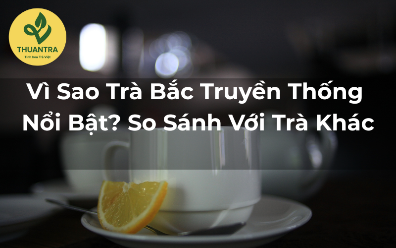 Vì Sao Trà Bắc Truyền Thống Nổi Bật? So Sánh Với Trà Khác