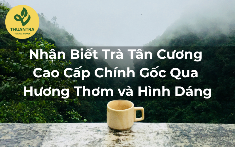 Nhận Biết Trà Tân Cương Cao Cấp Chính Gốc Qua Hương Thơm và Hình Dáng