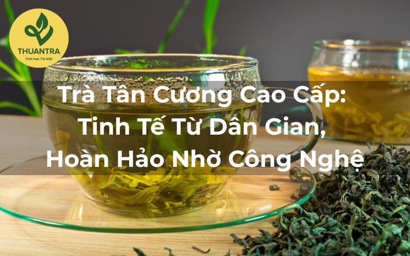 Trà Tân Cương Cao Cấp: Tinh Tế Từ Dân Gian, Hoàn Hảo Nhờ Công Nghệ