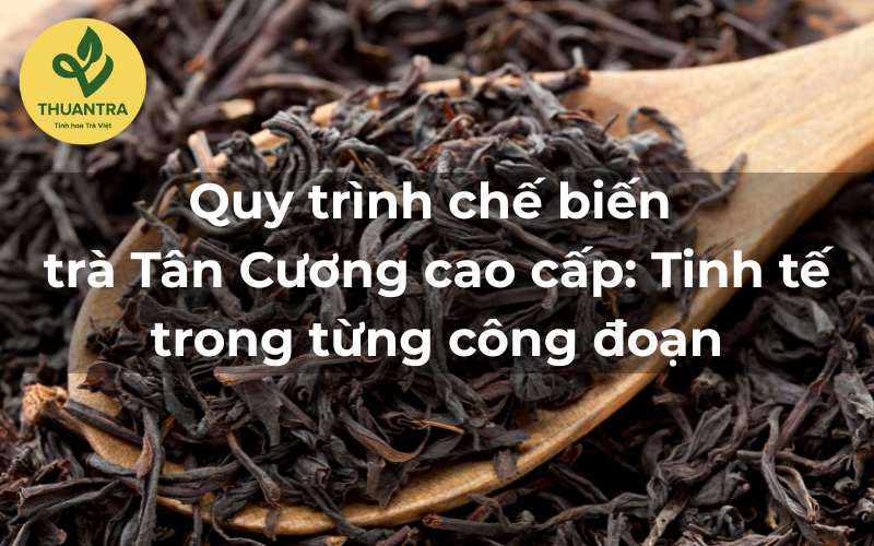Quy trình chế biến trà Tân Cương cao cấp: Tinh tế trong từng công đoạn
