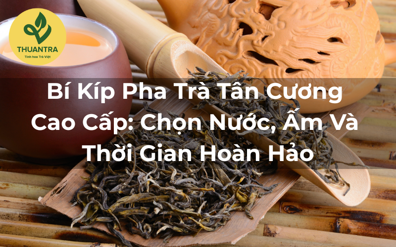 Bí Kíp Pha Trà Tân Cương Cao Cấp: Chọn Nước, Ấm Và Thời Gian Hoàn Hảo