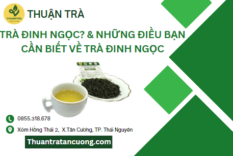 Trà Đinh Ngọc? & Những điều bạn cần biết về trà Đinh Ngọc