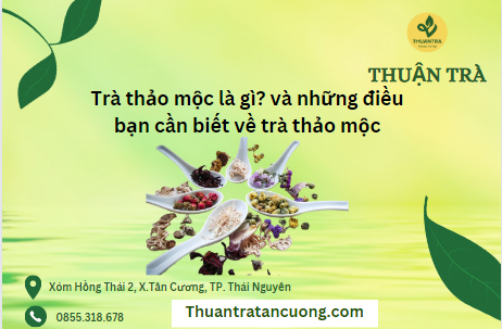 Trà thảo mộc là gì? và những điều bạn cần biết về trà thảo mộc