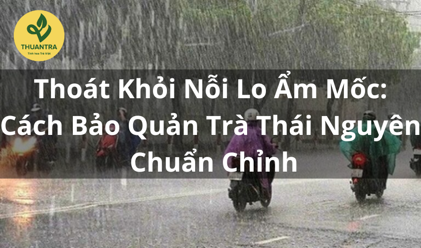 Thoát Khỏi Nỗi Lo Ẩm Mốc: Cách Bảo Quản Trà Thái Nguyên Chuẩn Chỉnh