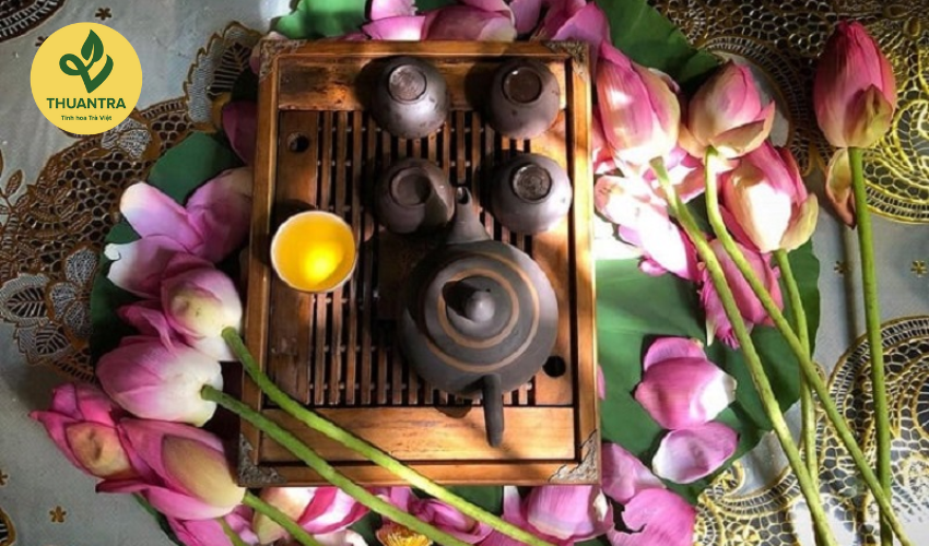Trà Sen Thanh Cao Hay Trà Hoa Nhài Tươi Mát – Bạn Chọn Gì?