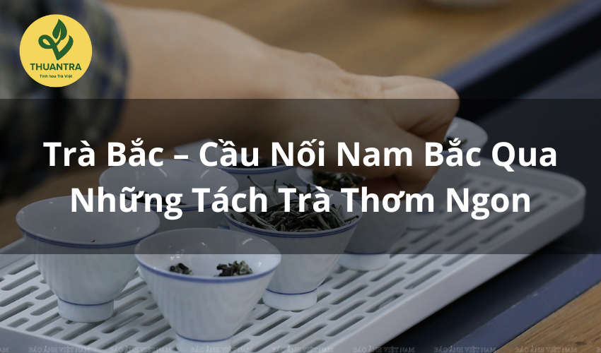 Trà Bắc – Cầu Nối Nam Bắc Qua Những Tách Trà Thơm Ngon