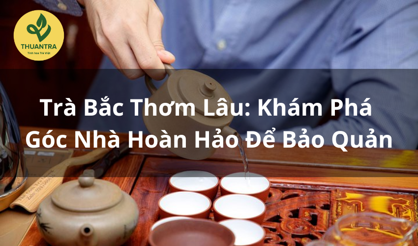 Trà Bắc Thơm Lâu: Khám Phá Góc Nhà Hoàn Hảo Để Bảo Quản