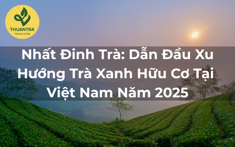 Nhất Đinh Trà: Dẫn Đầu Xu Hướng Trà Xanh Hữu Cơ Tại Việt Nam Năm 2025