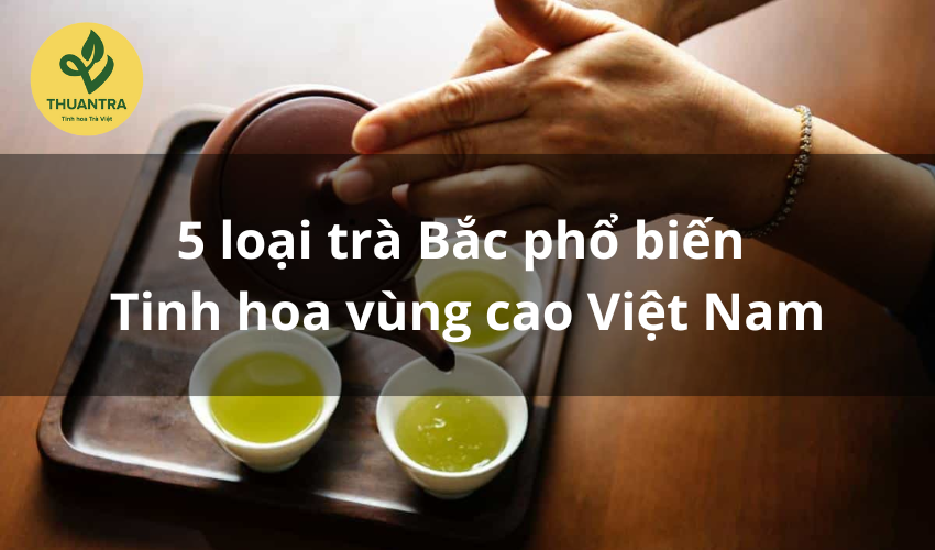 5 loại trà Bắc phổ biến – Tinh hoa vùng cao Việt Nam