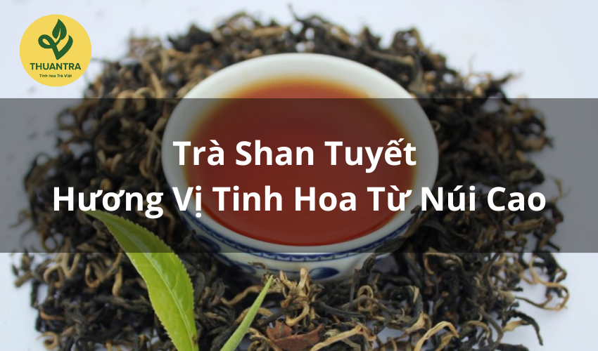 Trà Shan Tuyết – Hương Vị Tinh Hoa Từ Núi Cao