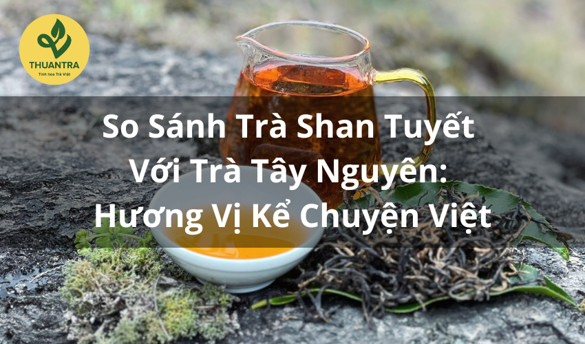 So Sánh Trà Shan Tuyết Với Trà Tây Nguyên: Hương Vị Kể Chuyện Việt