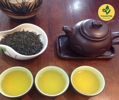 Khám phá thế giới trà - Đa dạng hương vị của trà Thái Nguyên