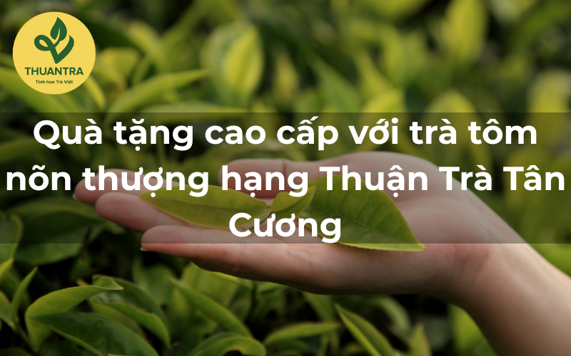 Quà tặng cao cấp với trà tôm nõn thượng hạng Thuận Trà Tân Cương
