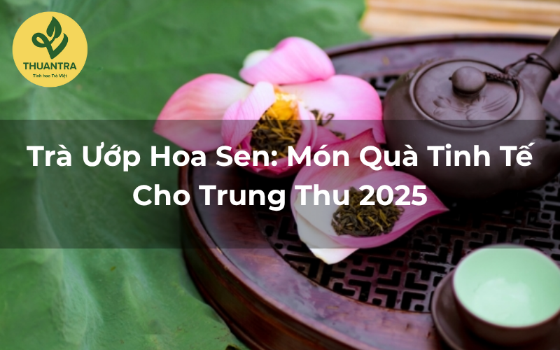 Trà Ướp Hoa Sen: Món Quà Tinh Tế Cho Trung Thu 2025