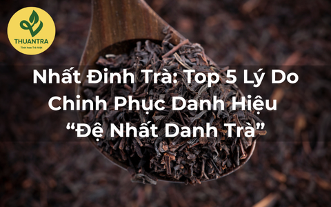 Nhất Đinh Trà: Top 5 Lý Do Chinh Phục Danh Hiệu “Đệ Nhất Danh Trà”