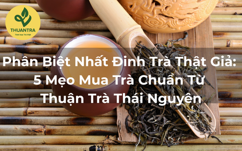 Phân Biệt Nhất Đinh Trà Thật Giả: 5 Mẹo Mua Trà Chuẩn Từ Thuận Trà Thái Nguyên