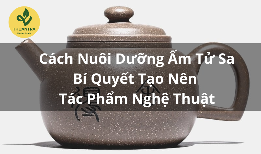 Cách Nuôi Dưỡng Ấm Tử Sa Đúng Cách – Bí Quyết Tạo Nên Tác Phẩm Nghệ Thuật