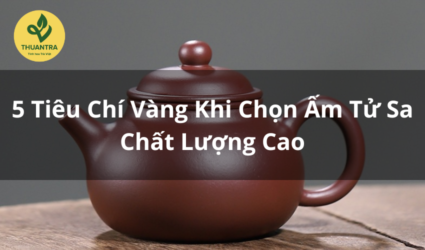 5 Tiêu Chí Vàng Khi Chọn Ấm Tử Sa Chất Lượng Cao