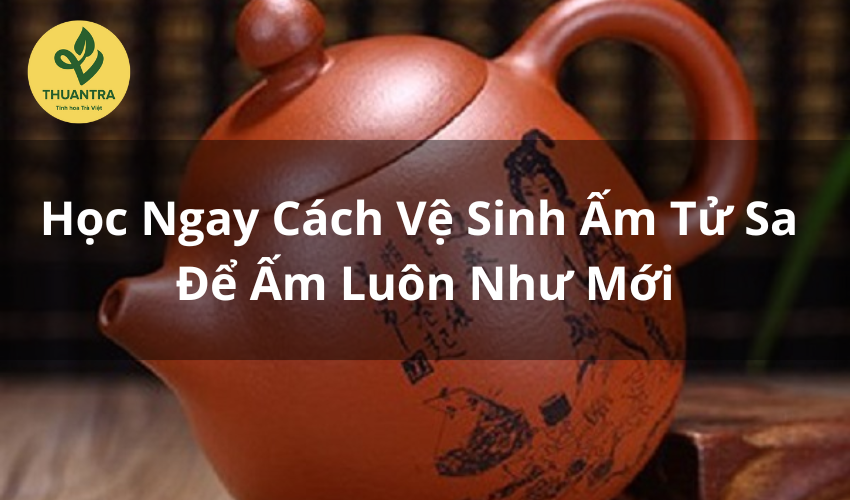 Học Ngay Cách Vệ Sinh Ấm Tử Sa Để Ấm Luôn Như Mới