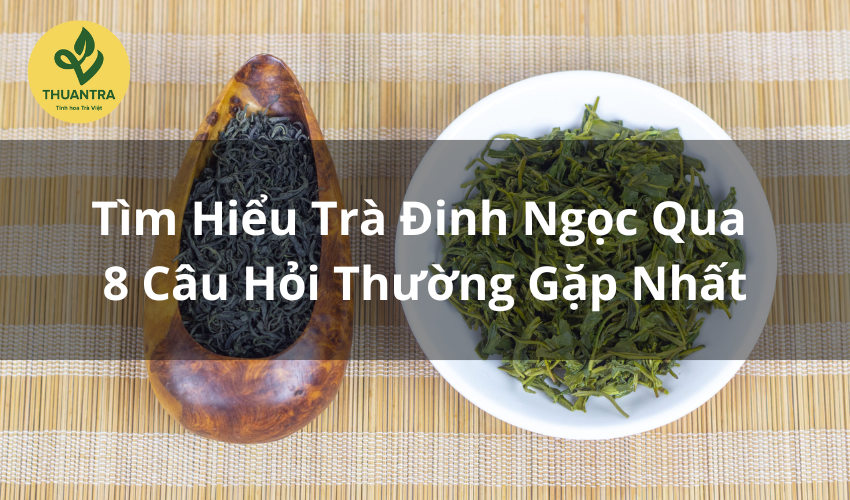 Tìm Hiểu Trà Đinh Ngọc Qua 8 Câu Hỏi Thường Gặp Nhất