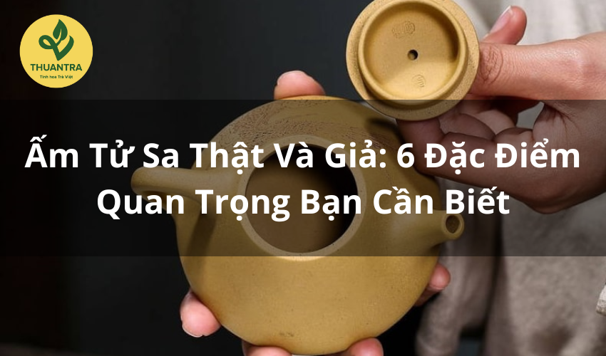 Ấm Tử Sa Thật Và Giả: 6 Đặc Điểm Quan Trọng Bạn Cần Biết