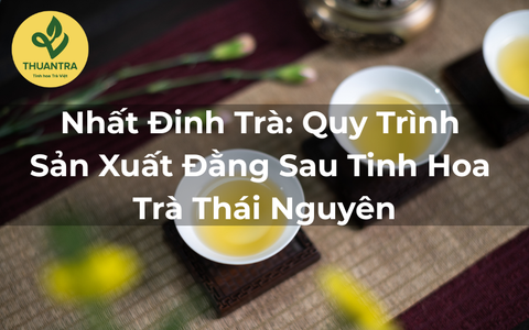 Nhất Đinh Trà: Quy Trình Sản Xuất Đằng Sau Tinh Hoa Trà Thái Nguyên