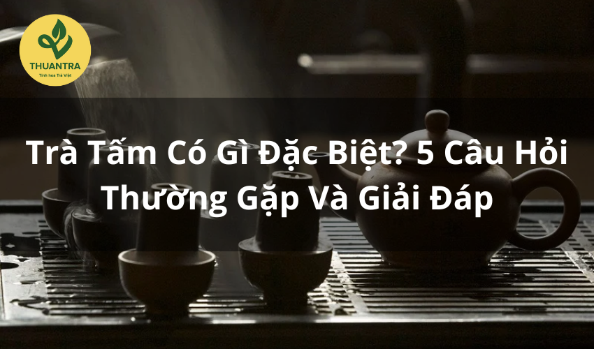 Trà Tấm Có Gì Đặc Biệt? 5 Câu Hỏi Thường Gặp Và Giải Đáp