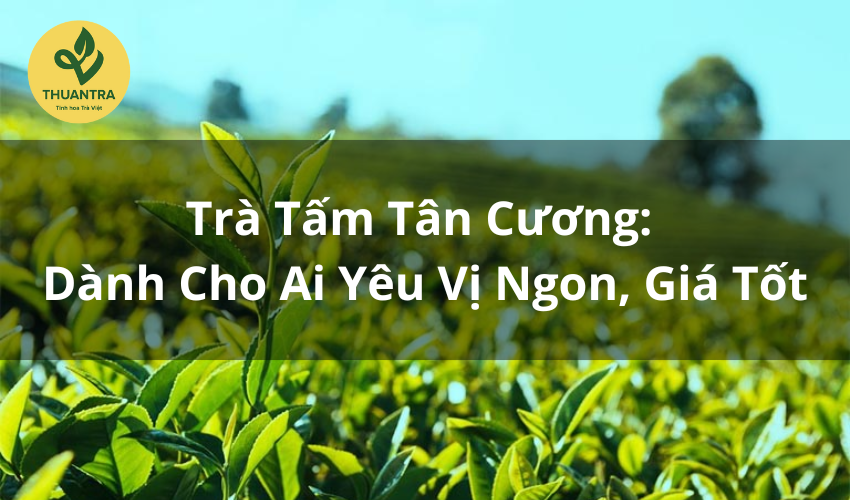 Trà Tấm Tân Cương: Dành Cho Ai Yêu Vị Ngon, Giá Tốt