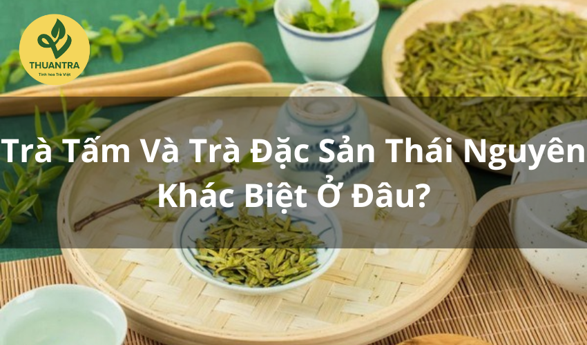 Trà Tấm Và Trà Đặc Sản Thái Nguyên: Khác Biệt Ở Đâu?