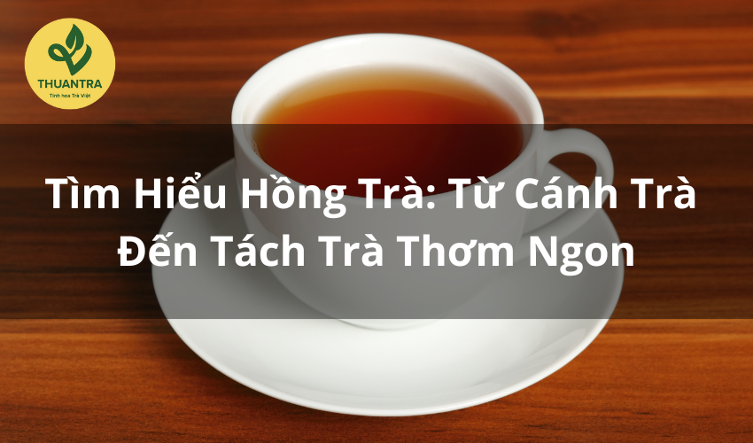 Tìm Hiểu Hồng Trà: Từ Cánh Trà Đến Tách Trà Thơm Ngon