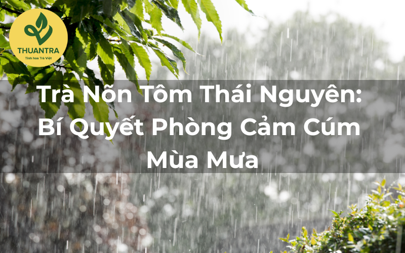 Trà Nõn Tôm Thái Nguyên: Bí Quyết Phòng Cảm Cúm Mùa Mưa