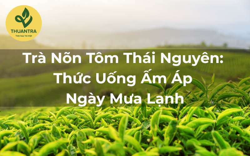 Trà Nõn Tôm Thái Nguyên: Thức Uống Ấm Áp Ngày Mưa Lạnh