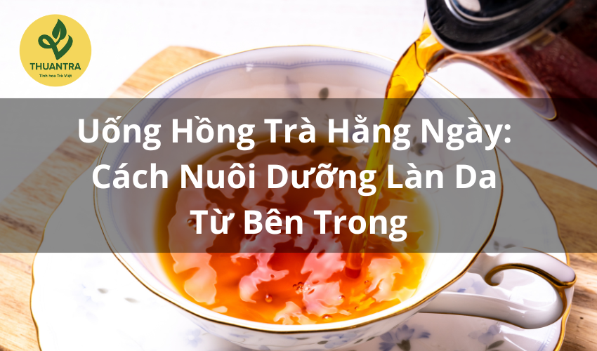 Uống Hồng Trà Hằng Ngày: Cách Nuôi Dưỡng Làn Da Từ Bên Trong