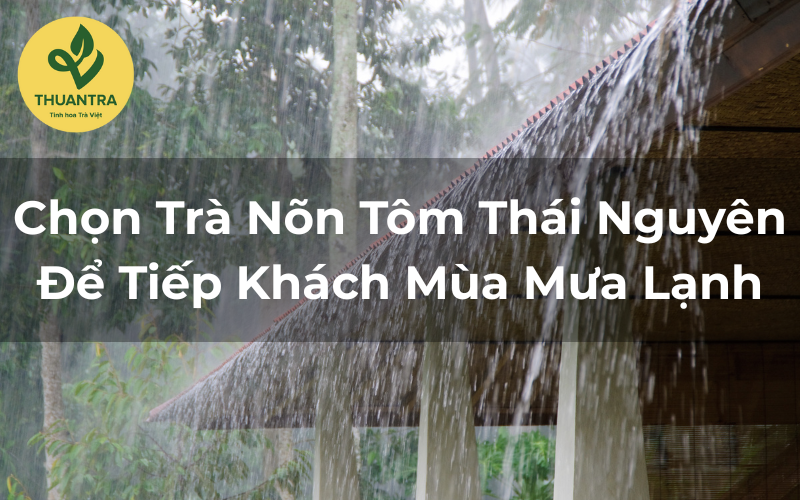 Chọn Trà Nõn Tôm Thái Nguyên Để Tiếp Khách Mùa Mưa Lạnh