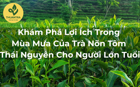 Khám Phá Lợi Ích Trong Mùa Mưa Của Trà Nõn Tôm Thái Nguyên Cho Người Lớn Tuổi