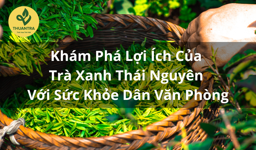 Khám Phá Lợi Ích Của Trà Xanh Thái Nguyên Với Sức Khỏe Dân Văn Phòng