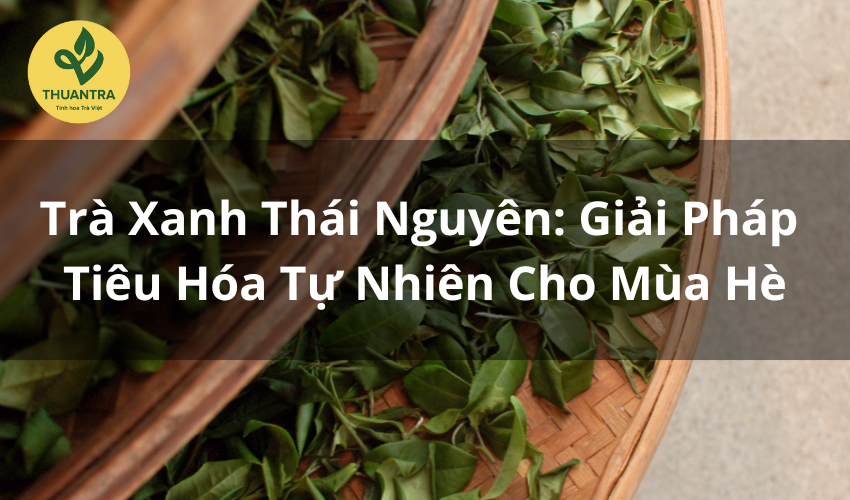 Trà Xanh Thái Nguyên: Giải Pháp Tiêu Hóa Tự Nhiên Cho Mùa Hè