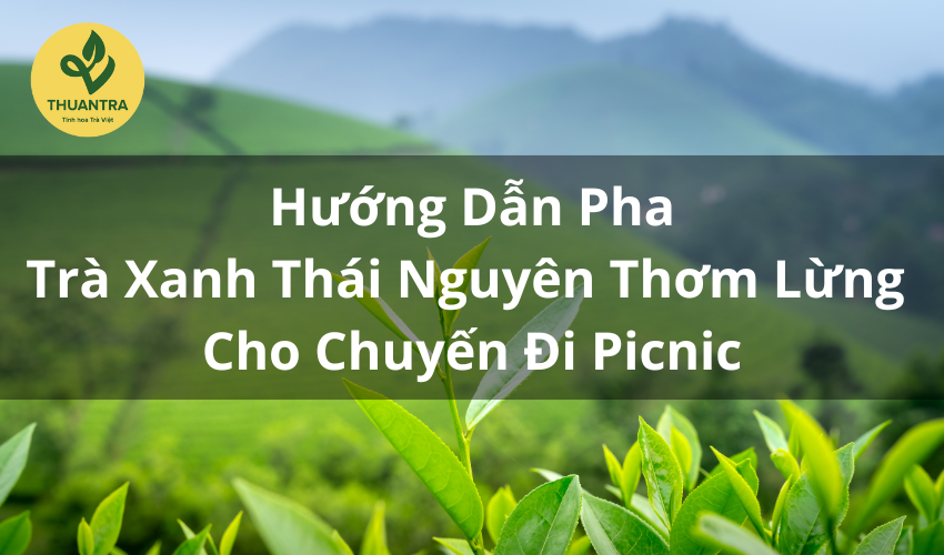 Hướng Dẫn Pha Trà Xanh Thái Nguyên Thơm Lừng Cho Chuyến Đi Picnic