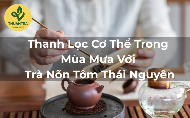 Thanh Lọc Cơ Thể Trong Mùa Mưa Với Trà Nõn Tôm Thái Nguyên
