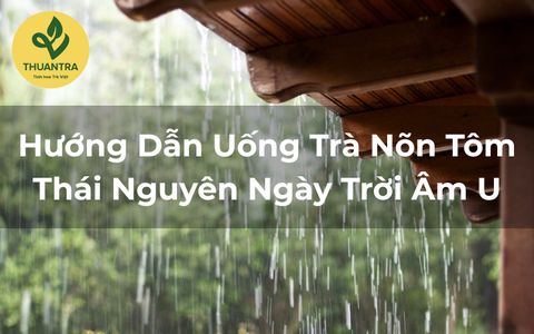 Hướng Dẫn Uống Trà Nõn Tôm Thái Nguyên Ngày Trời Âm U