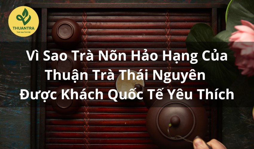 Vì Sao Trà Nõn Hảo Hạng Thuận Trà Thái Nguyên Được Khách Quốc Tế Yêu Thích