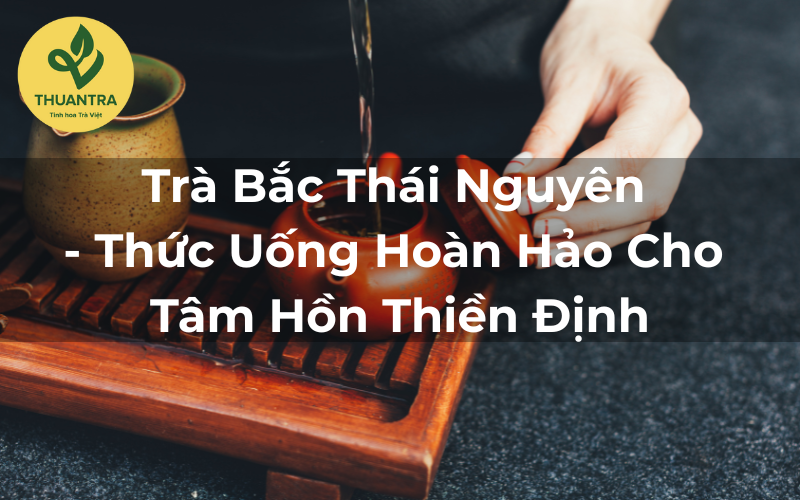Trà Bắc Thái Nguyên - Thức Uống Hoàn Hảo Cho Tâm Hồn Thiền Định