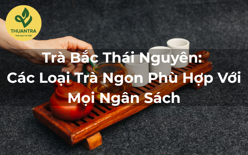Trà Bắc Thái Nguyên: Các Loại Trà Ngon Phù Hợp Với Mọi Ngân Sách