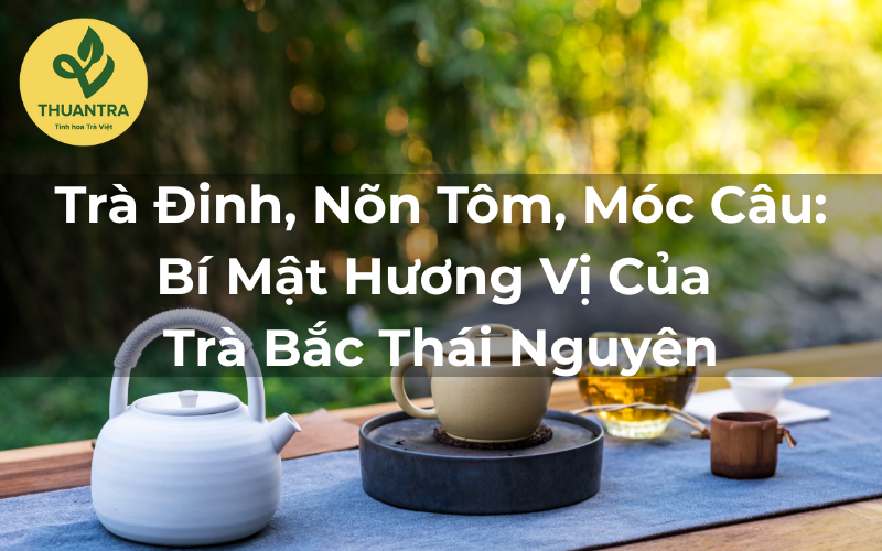 Trà Đinh, Nõn Tôm, Móc Câu: Bí Mật Hương Vị Của Trà Bắc Thái Nguyên