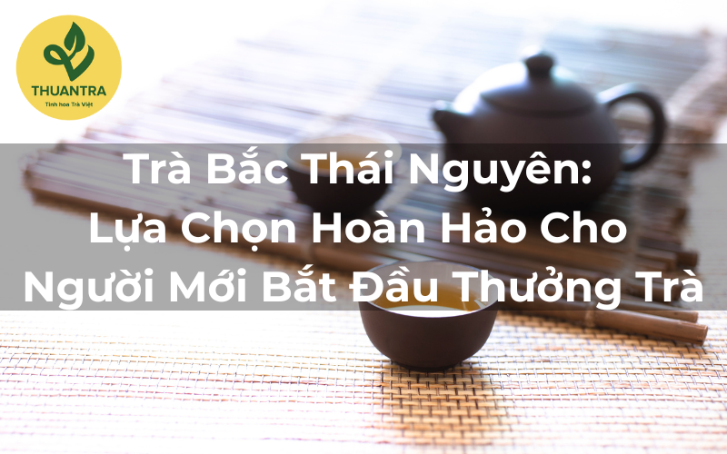 Trà Bắc Thái Nguyên: Lựa Chọn Hoàn Hảo Cho Người Mới Bắt Đầu Thưởng Trà